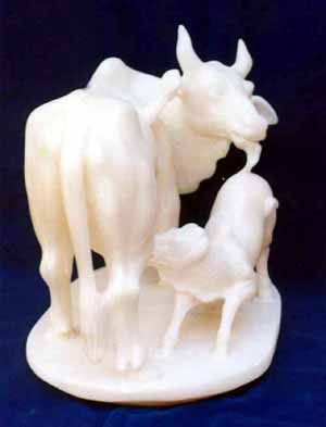 Animals